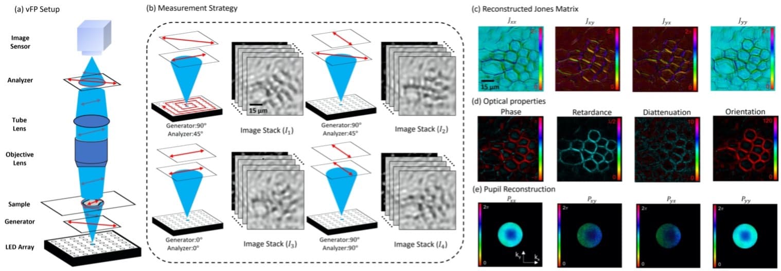 Quantitative Jones Matrix Imaging Using Vectorial Fourier Ptychography