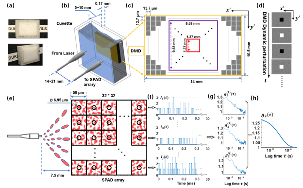 System