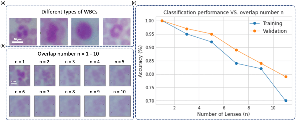 Fig 5